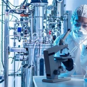 连续生产与批次生产：有何区别？