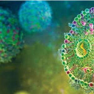 脂质纳米颗粒（LNP）纯化工艺解析：从实验室到规模化生产的关键步骤